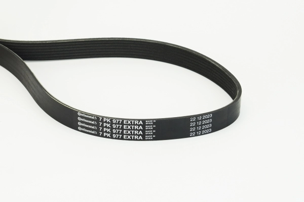V-ribbed Belt